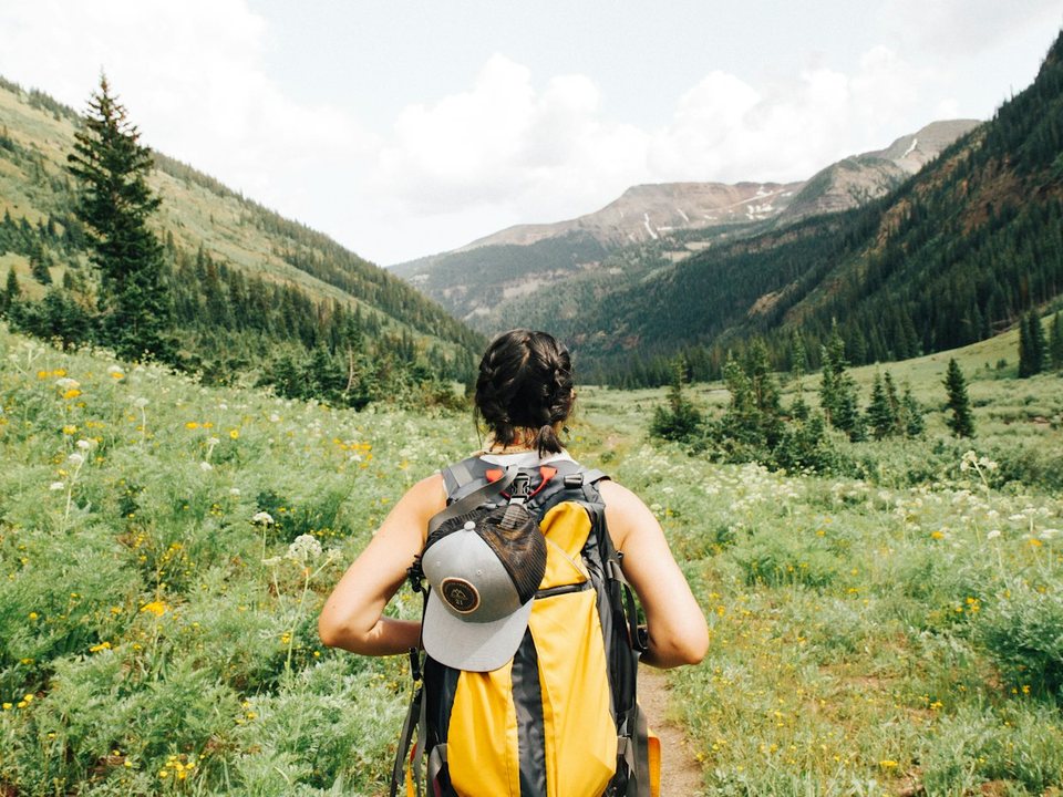 Hiker walking into a green valley with travel companions